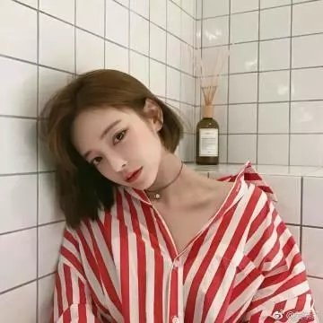 大北极